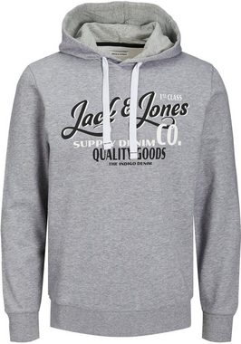 Jack & Jones Kapuzensweatshirt JJ JJANDY SWEAT HOOD