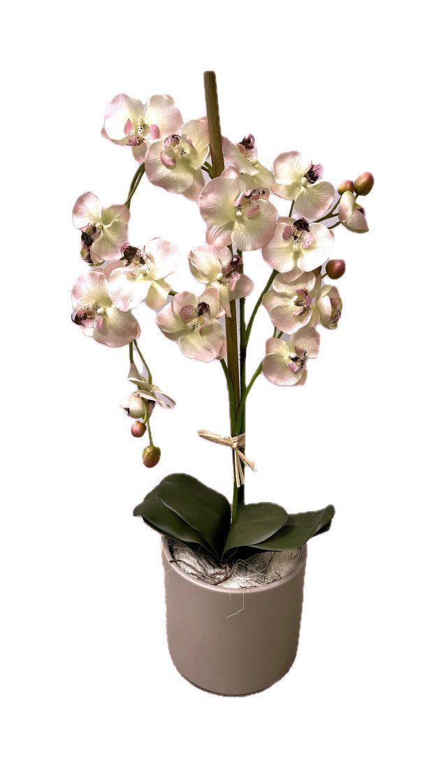Kunstorchidee Orchidee künstlich Kunstpflanze unecht Seidenblume Kunstblume 1336 Orchidee, PassionMade, Höhe 70 cm, Phalaenopsis im Topf Orchideentopf