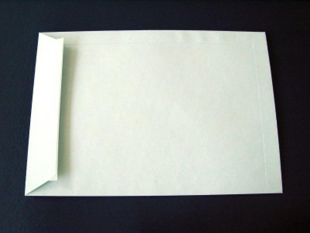 Blanke Briefhüllen Versandtasche Versandtaschen B4 140g/qm haftklebend VE=250 Stück weiß/blau.