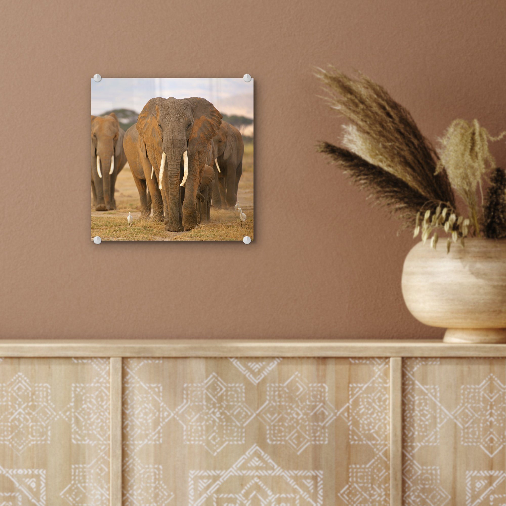 MuchoWow Acrylglasbild Glasbilder Elefanten, Familie Wandbild der - Wanddekoration bunt Bilder (1 Glas St), - - auf Glas auf Foto