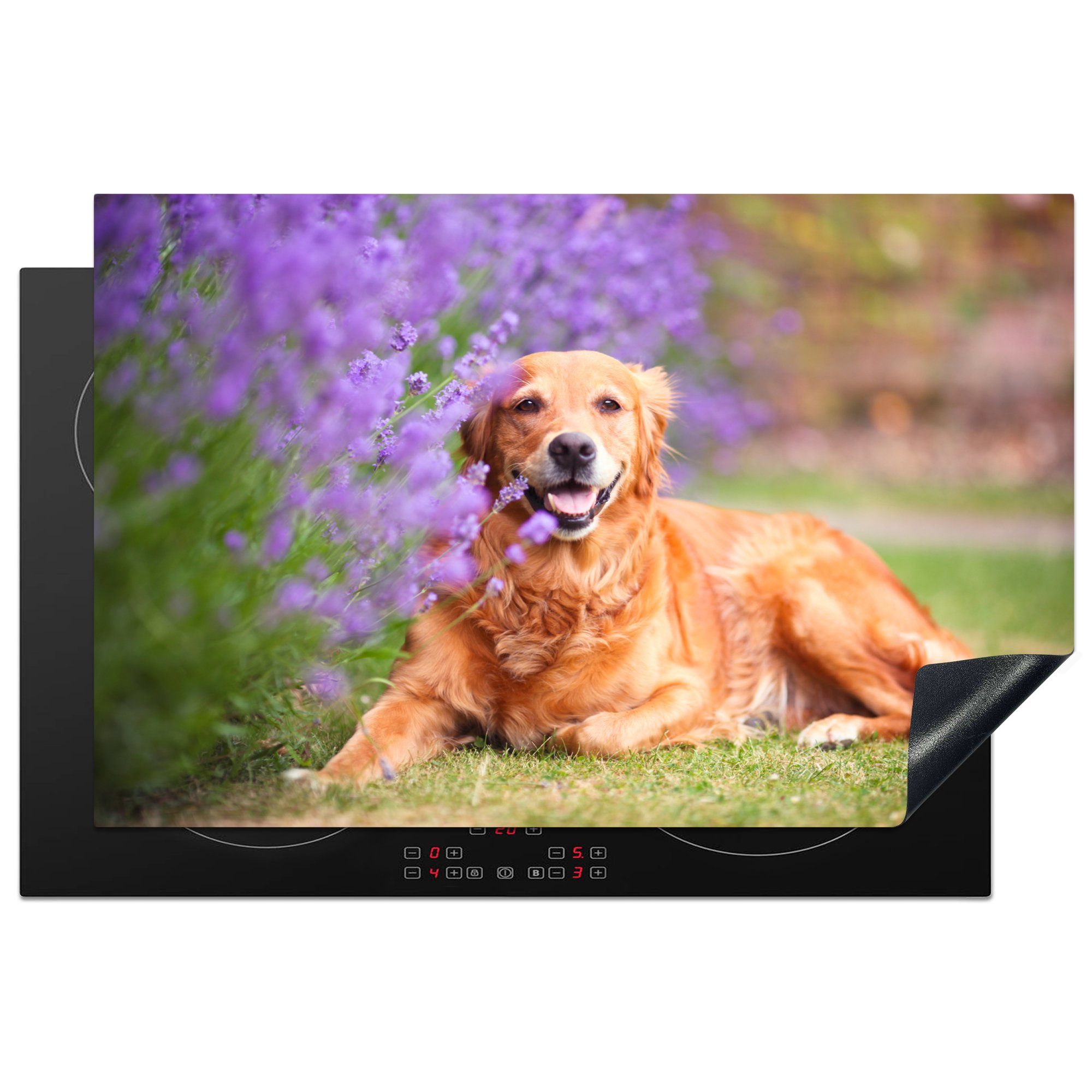 MuchoWow Herdblende-/Abdeckplatte Lavendel - Blumen - Hund - Haustiere, Vinyl, (1 tlg), 81x52 cm, Induktionskochfeld Schutz für die küche, Ceranfeldabdeckung