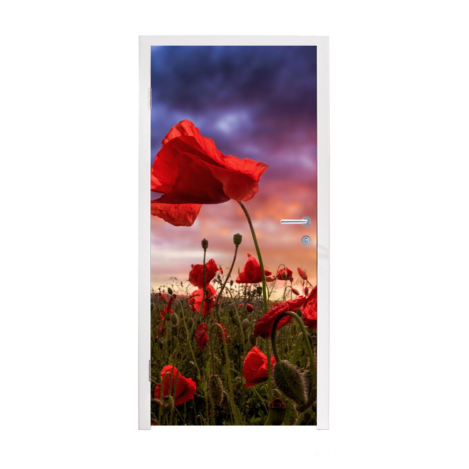 MuchoWow Türtapete Mohn - Blumenfeld - Rot, Matt, bedruckt, (1 St), Fototapete für Tür, Türaufkleber, 75x205 cm