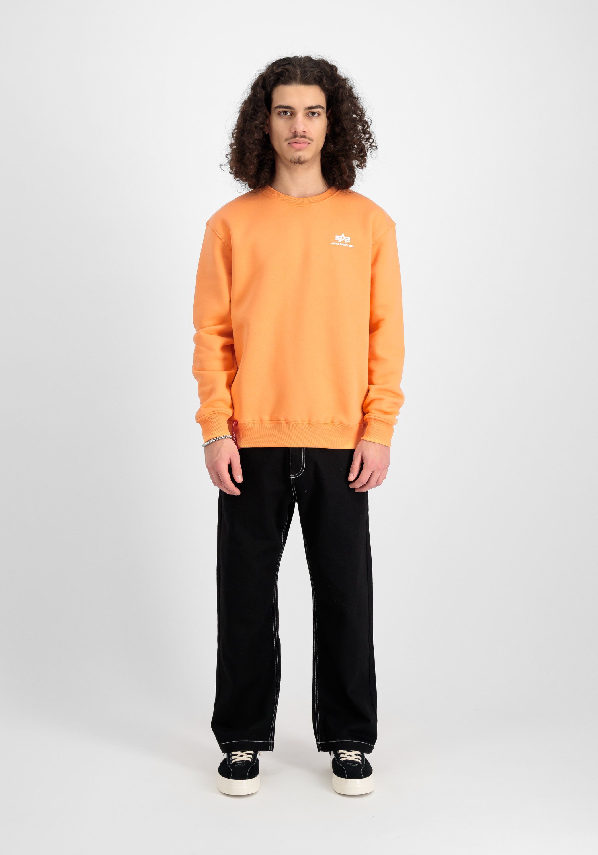 Alpha Industries Sweater Alpha Industries Men - Sweatshirts Basic Sweater Small Logo