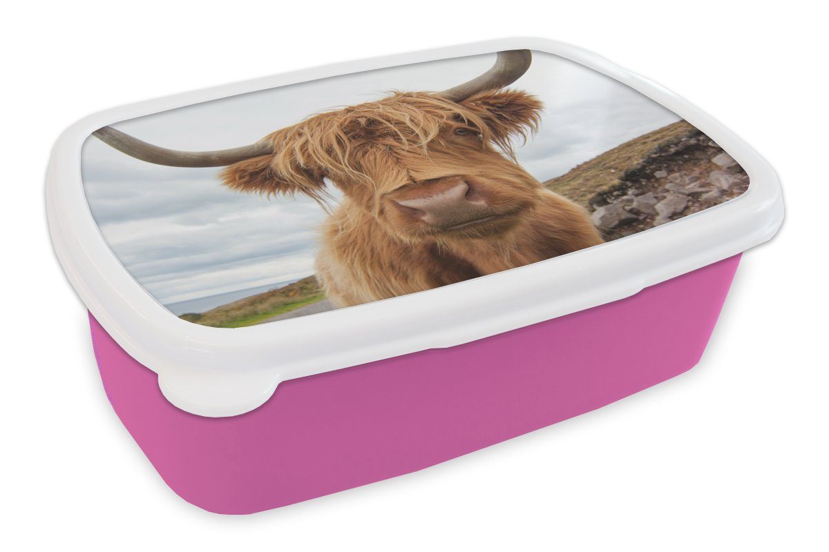 MuchoWow Lunchbox Kinder, für (2-tlg), Mädchen, - Hörner rosa Berg, - Brotdose Kunststoff Brotbox Erwachsene, Highlander Snackbox, Schottischer Kunststoff