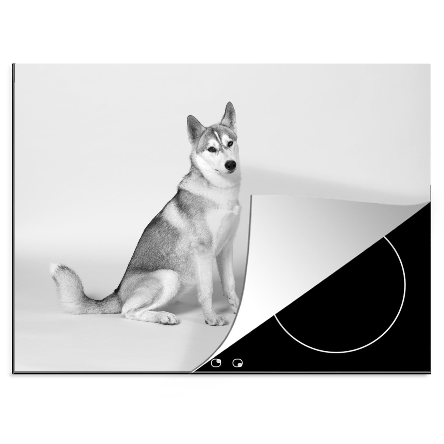Mobile schwarz Husky cm, 70x52 Ceranfeldabdeckung für MuchoWow Herdblende-/Abdeckplatte weiß, Vinyl, tlg), Arbeitsfläche Hintergrund weißen nutzbar, und (1 -