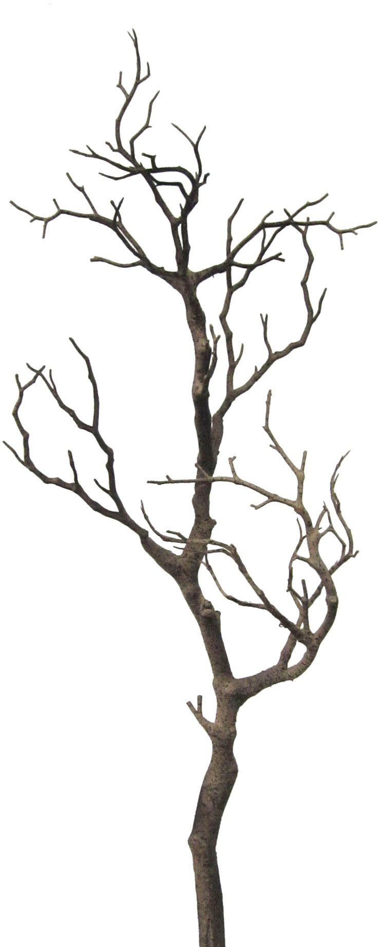 Kunstzweig Dekoast, Creativ green, Höhe 73 cm günstig online kaufen