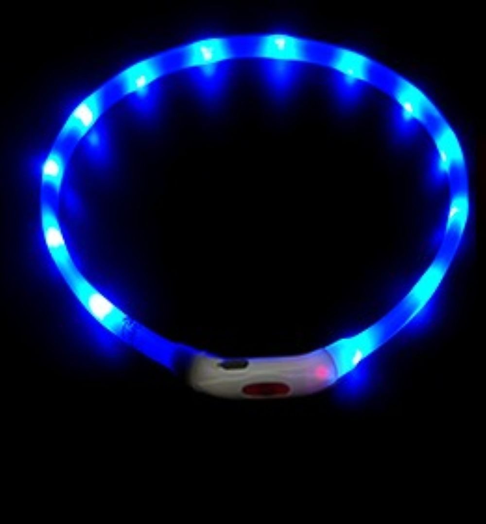 Illes-Laedchen Hunde-Halsband Hunde-Halsband LED Leuchtring Leuchthalsband große Farbauswahl, wiederaufladbar mit mitgeliefertem Kabel Typ C