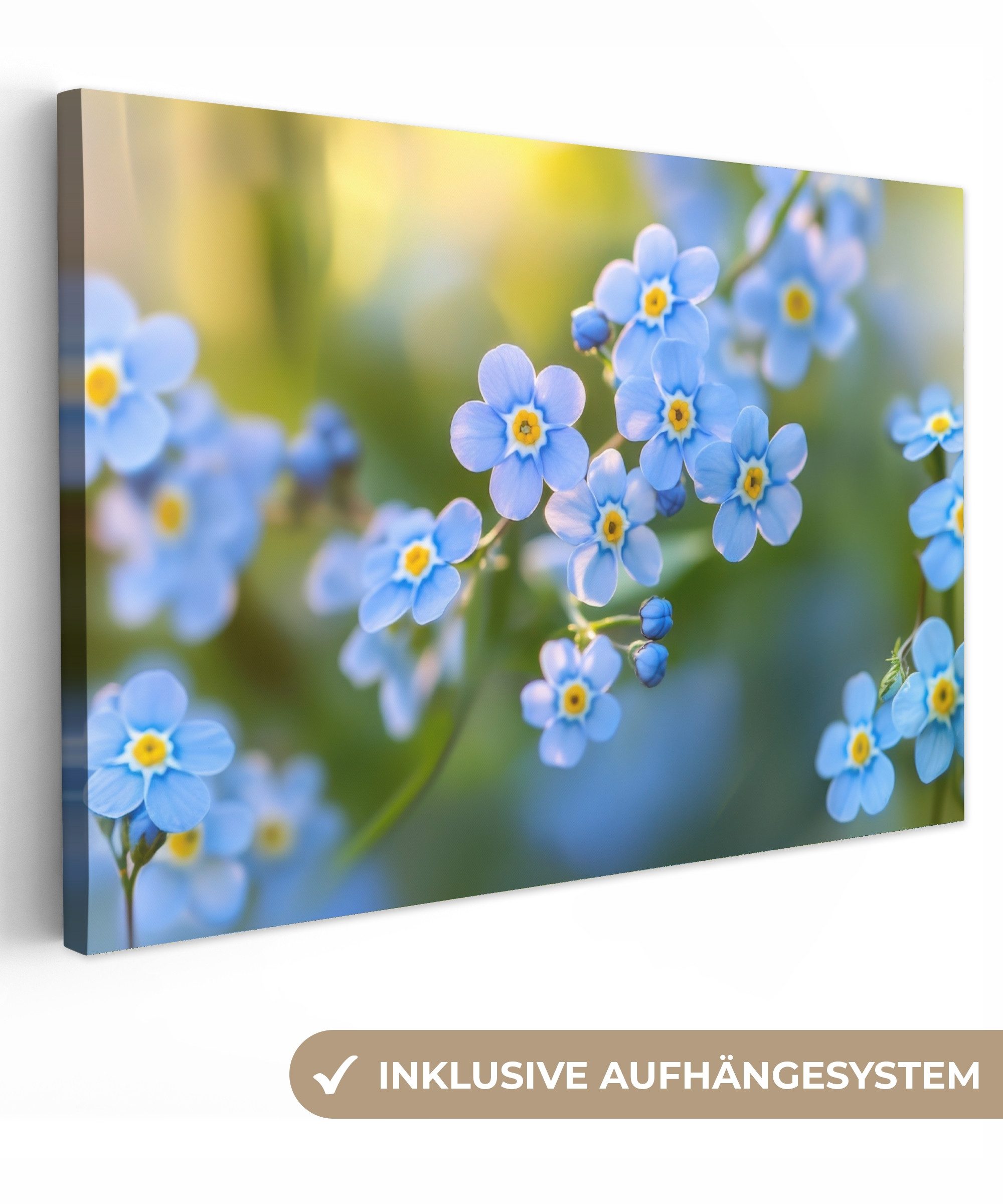 OneMillionCanvasses® Leinwandbild Blumen - Blau - günstig online kaufen