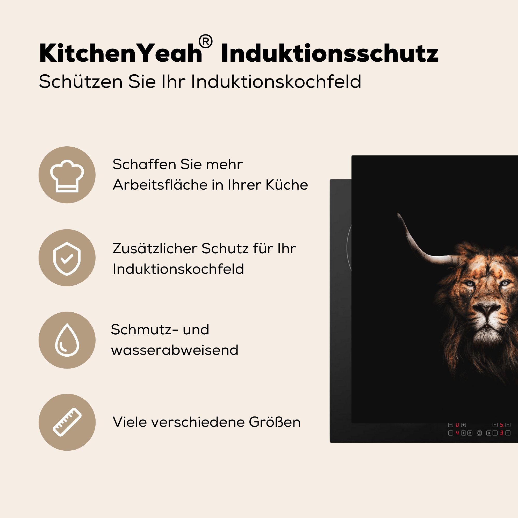 Herdblende-/Abdeckplatte Löwe (1 - küche Highlander, 78x78 cm, Vinyl, Schottischer MuchoWow Tiere für Arbeitsplatte Ceranfeldabdeckung, tlg), -