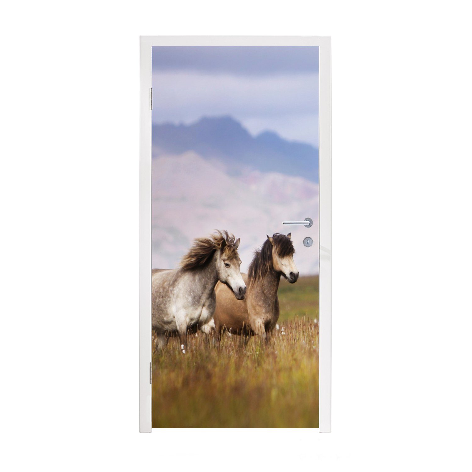 MuchoWow Türtapete Pferde - für bedruckt, Fototapete Gras (1 Matt, - Türaufkleber, cm Berge, 75x205 St), Tür