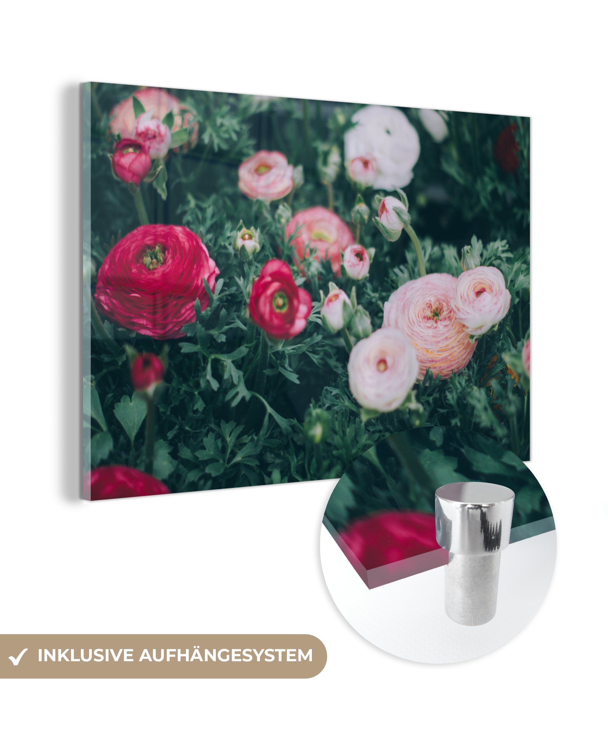 MuchoWow Acrylglasbild Blumen - Blätter - Rosa, (1 St), Acrylglasbilder Wohnzimmer & Schlafzimmer