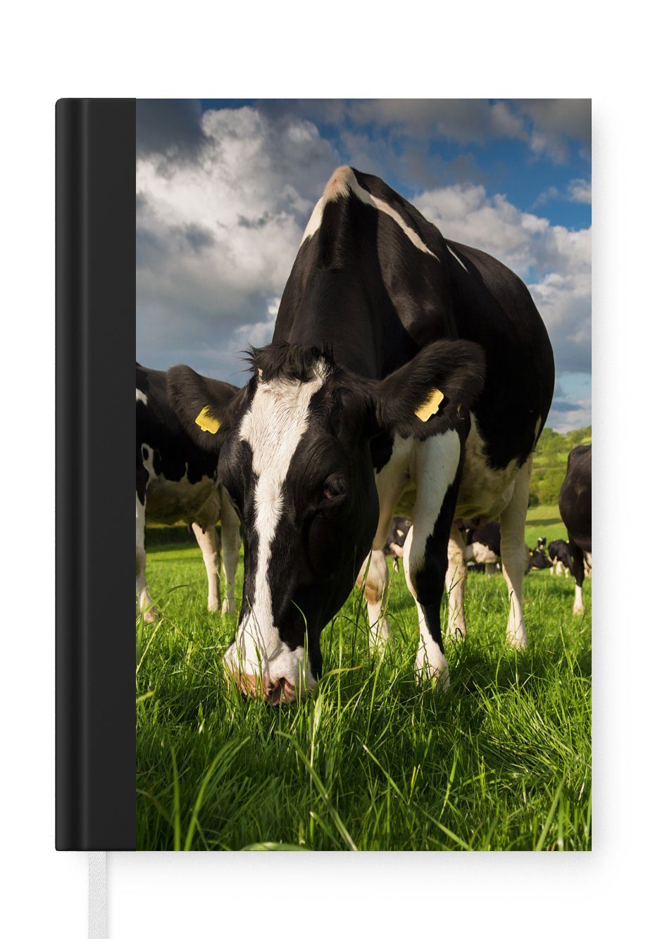 MuchoWow Notizbuch Kühe - Tiere - Gras - Wiese - Bauernhof, Journal, Merkzettel, Tagebuch, Notizheft, A5, 98 Seiten, Haushaltsbuch