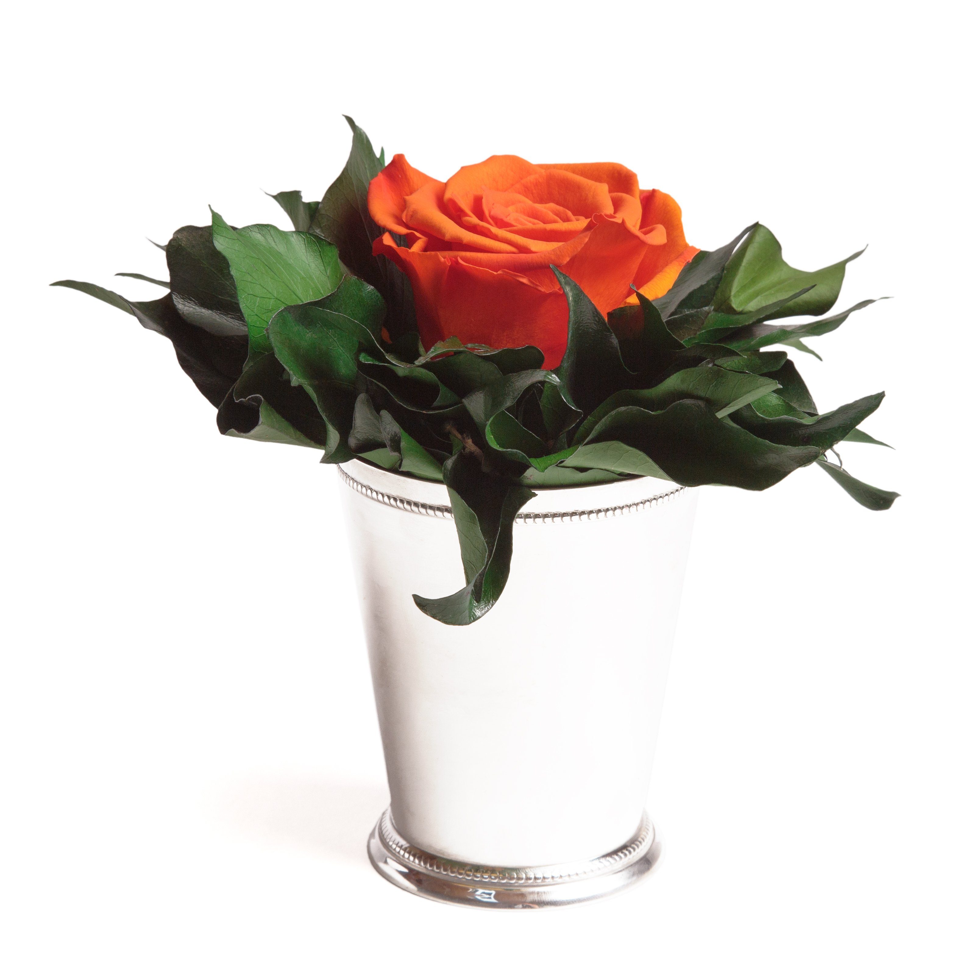 Kunstblumenstrauß Blumengesteck 1 Infinity Rose Becher silberfarben Geschenk für Frauen Rose, ROSEMARIE SCHULZ Heidelberg, Höhe 12 cm, Echte Rose lange haltbar, Made in Germany