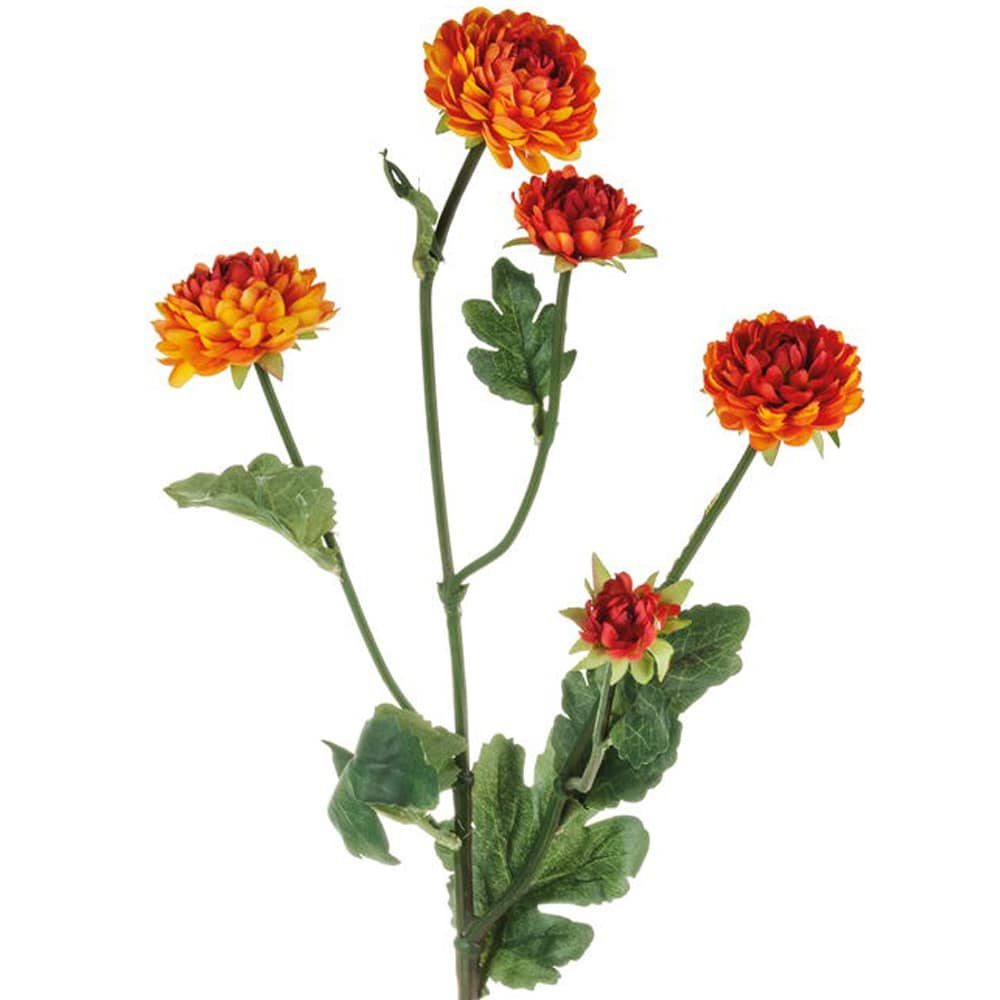 HOBBY, Chrysantheme, 68 HOME orange Kunstblumen Kunstblume Chrysanthemen Mini 4 Farben Höhe cm matches21 &
