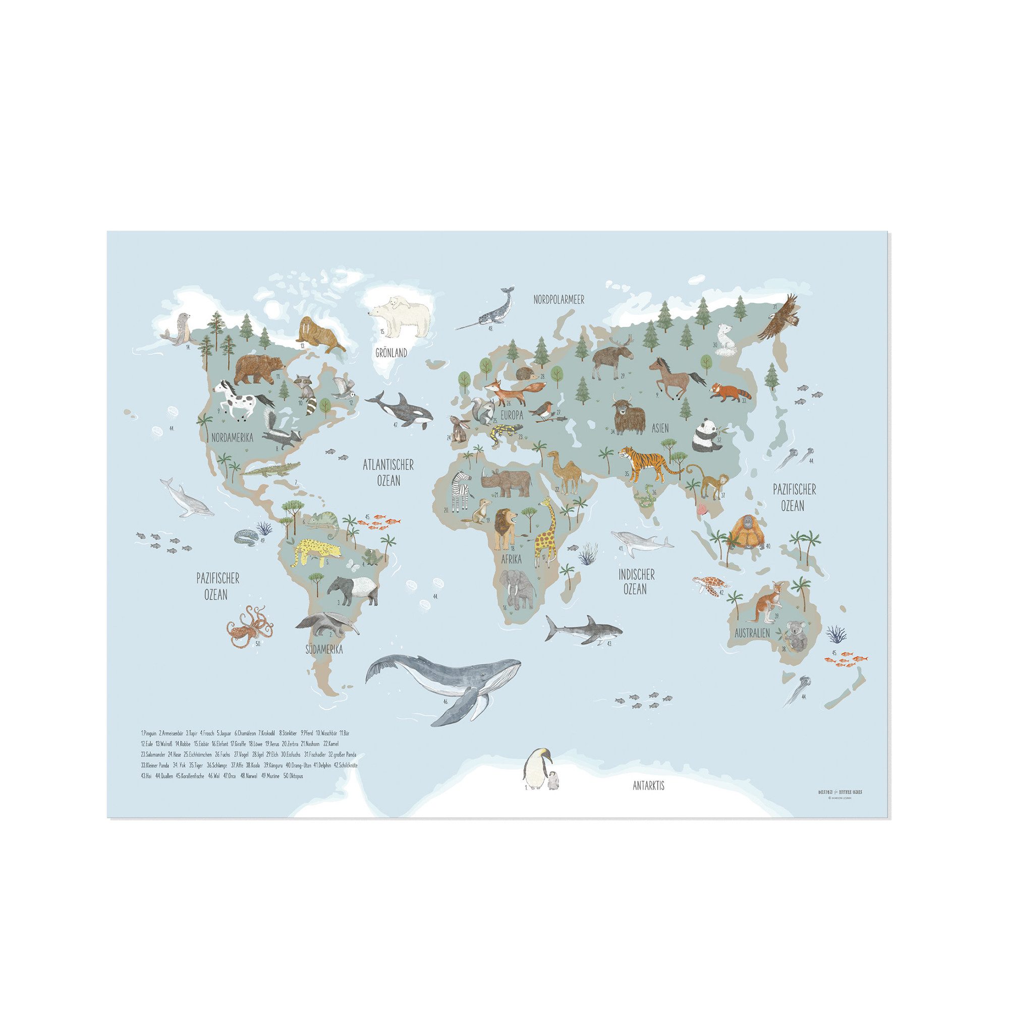 scriptum Poster Weltkarte Poster - Tiere dieser Welt - Lernposter Blau 60x80 cm, (1 St), Made in Germany