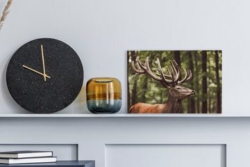 OneMillionCanvasses® Leinwandbild Hirsche im Wald, (1 St), Wandbild Leinwandbilder, Aufhängefertig, Wanddeko, 30x20 cm