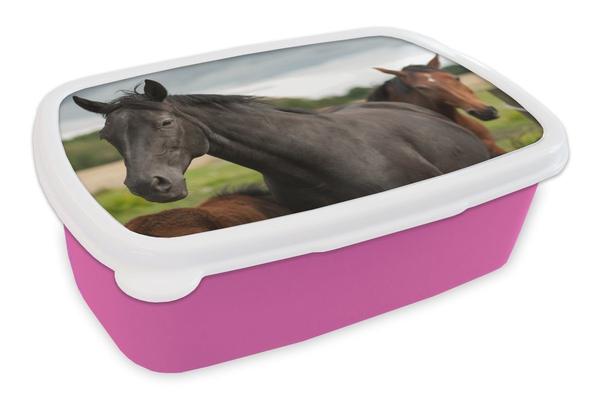 MuchoWow Lunchbox Pferde - Wiese - Schweden, Kunststoff, (2-tlg), Brotbox für Erwachsene, Brotdose Kinder, Snackbox, Mädchen, Kunststoff rosa