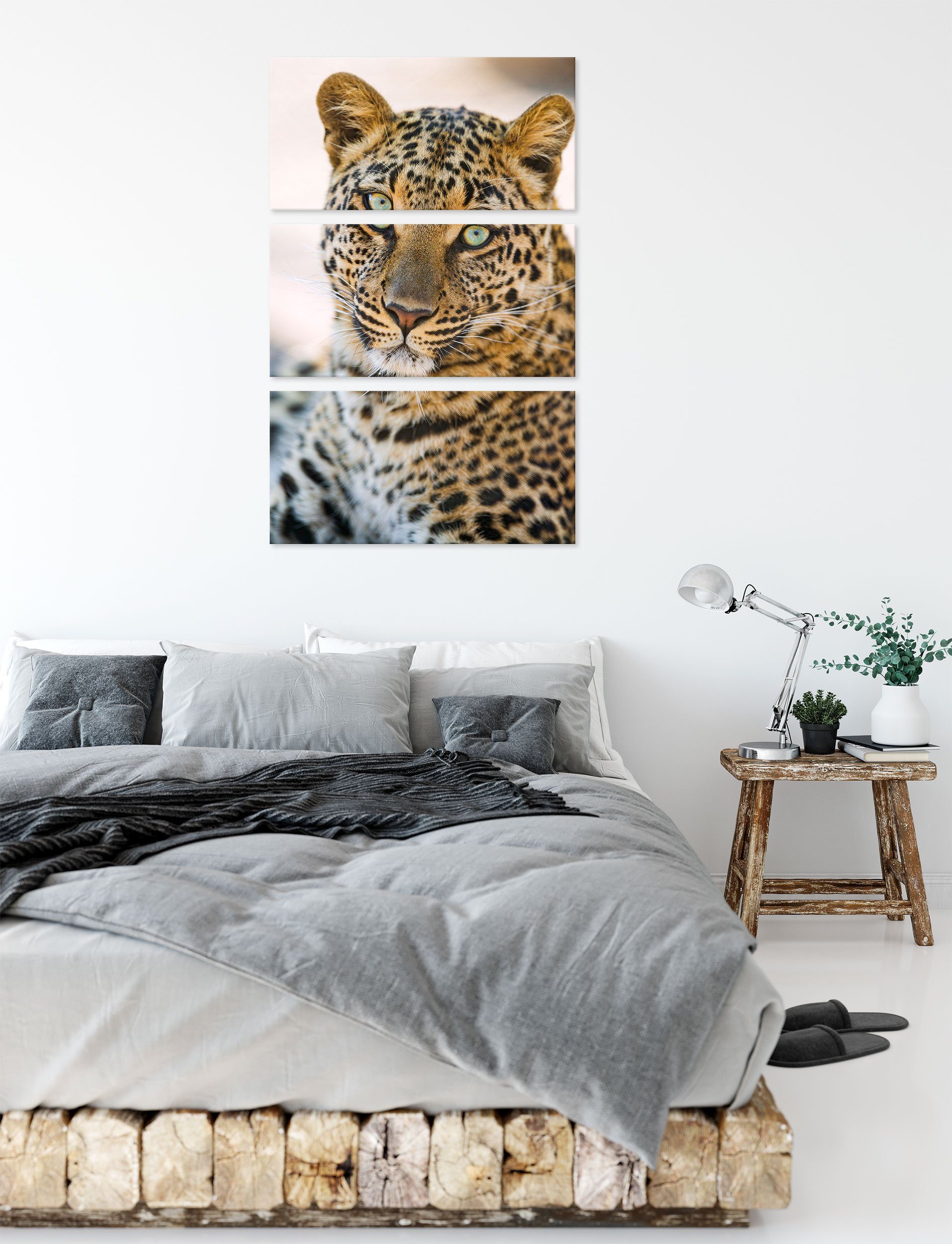 (1 fertig bespannt, Leopard, Leinwandbild Pixxprint Leinwandbild 3Teiler Leopard St), inkl. schöner schöner Zackenaufhänger (120x80cm)