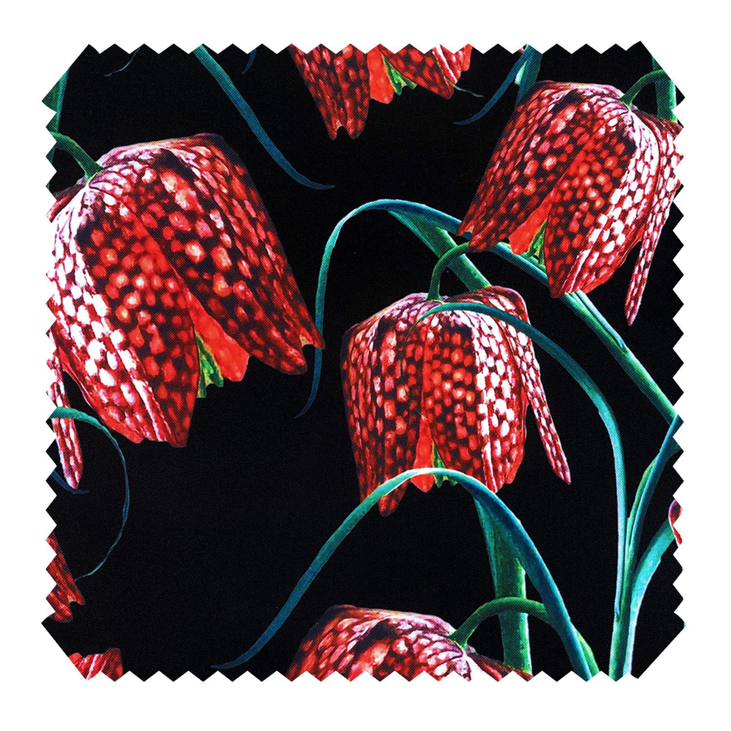 novely® Stoff OXFORD 210D D193 Red Flowers On Black Printstoff Outdoor, Wasserabweisend, Outdoor, Meterware, 1lfm