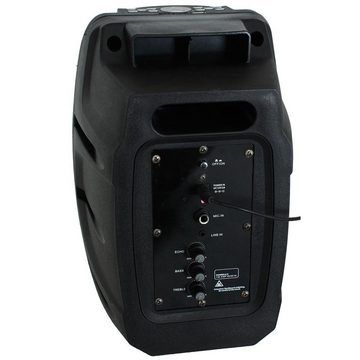 Ibiza Sound Lautsprecher (Tragbare 16cm Beschallungsanlage USB SD REC Bluetooth & VHF MIC)