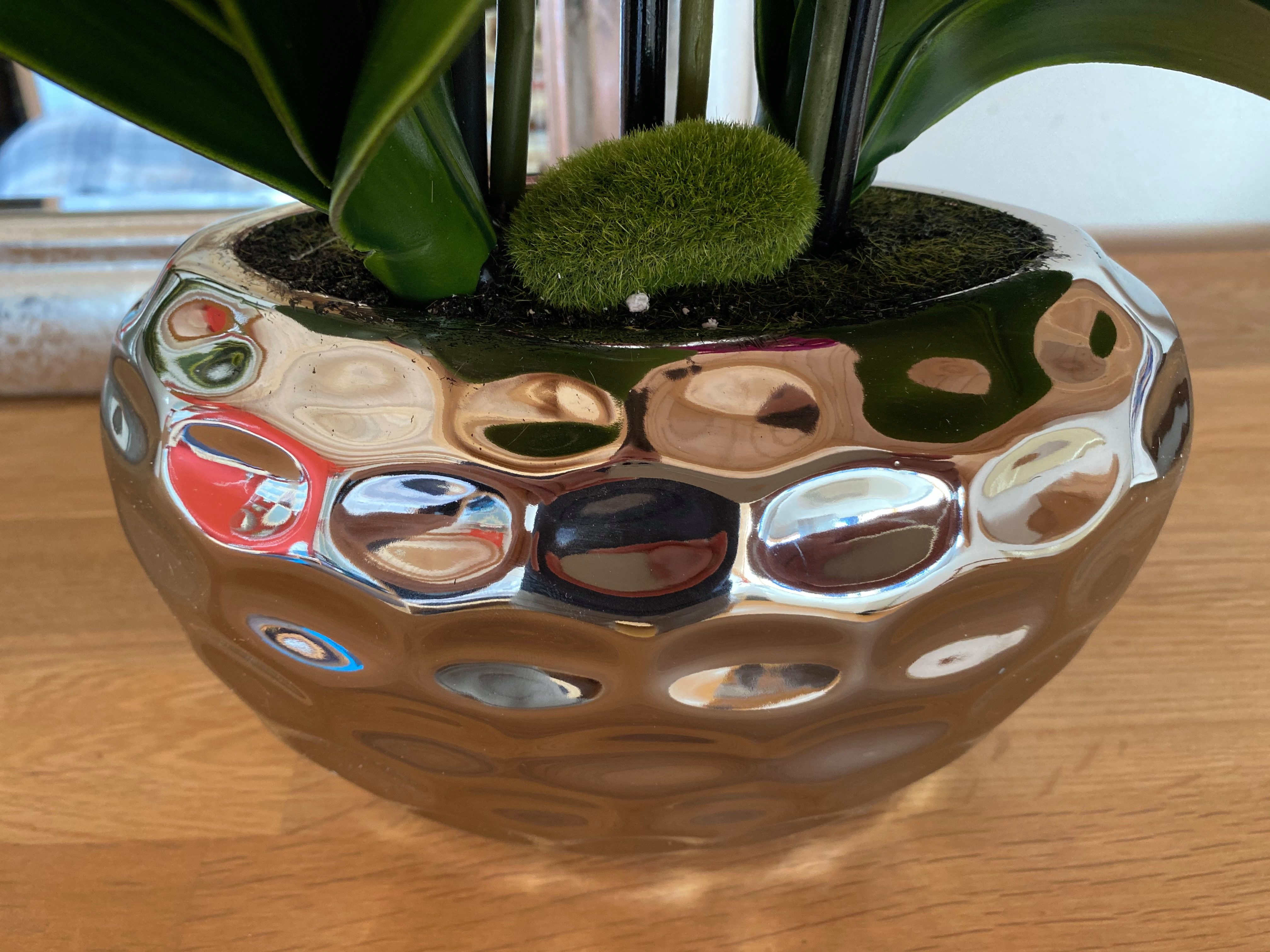 Kunstorchidee Kunstpflanze Orchidee Orchidee, Creativ green, Höhe 55.00 cm, im Keramiktopf