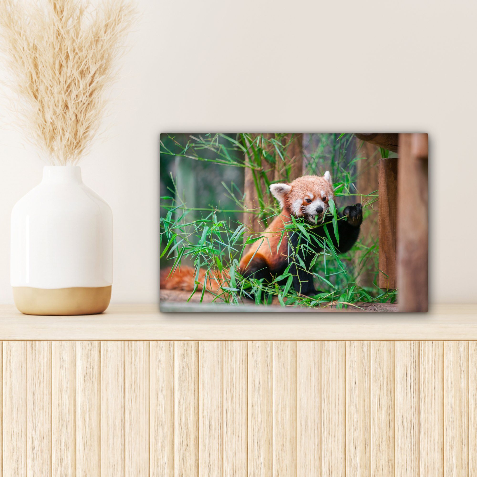 OneMillionCanvasses® Leinwandbild Roter Grün, Wandbild St), Bambus cm (1 Panda - - Aufhängefertig, Leinwandbilder, 30x20 Wanddeko