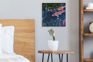 OneMillionCanvasses® Leinwandbild Vier Koi-Karpfen in einem Teich, (1 St), Leinwand Bilder für Wohnzimmer Schlafzimmer