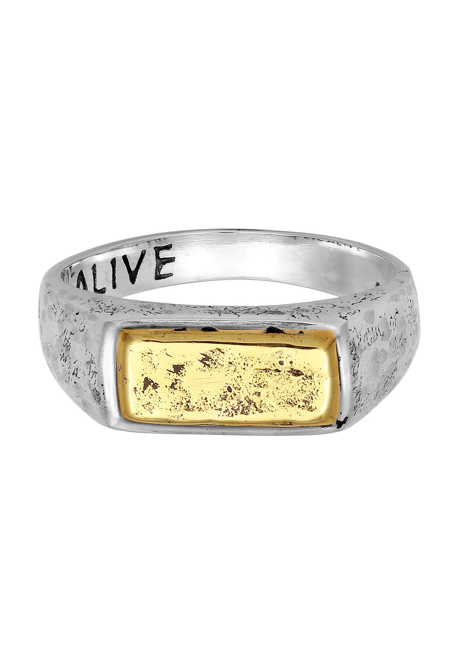 HAZE & GLORY Siegelring Siegelring - Alive Bi-Colour 925 Silber
