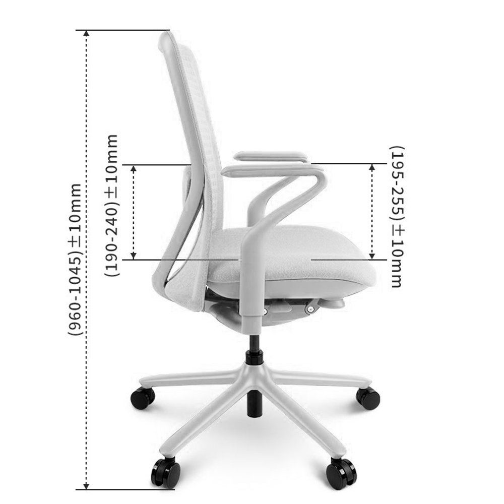 FLEXISPOT Bürostuhl BS13 Armlehne), Bürostuhl Chefsessel mit grau Computerstuhl Stuhl BS13, Schreibtischstuhl, bequemer (BackSupport