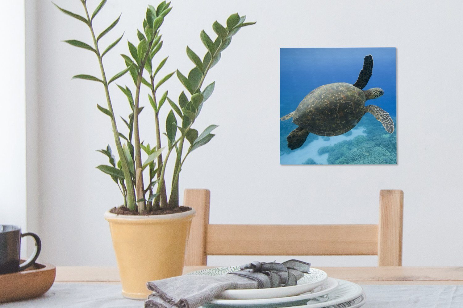 schwimmende Leinwandbild Wohnzimmer Schlafzimmer Grüne Bilder für Schildkröte St), OneMillionCanvasses® Fotodruck, Leinwand (1