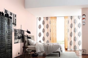 SCHÖNER WOHNEN FARBE Wand- und Deckenfarbe TRENDFARBE, matt, 2,5 Liter, Poudre, hochdeckende Wandfarbe - für Allergiker geeignet