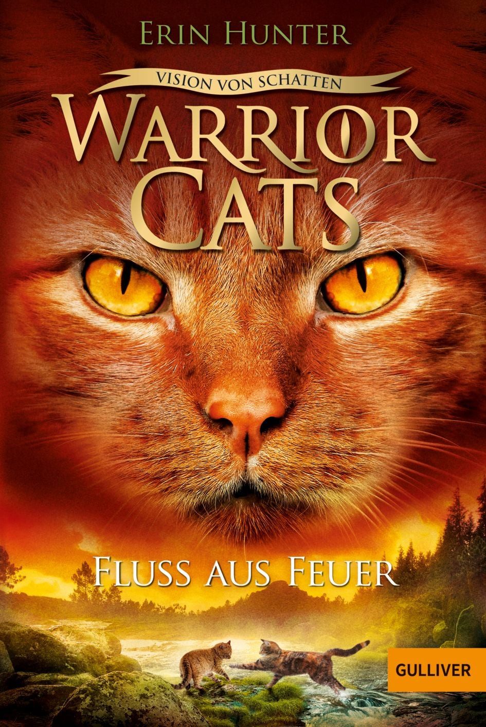 Warrior Cats - Vision von Schatten. Fluss aus Feuer / Erin Hunter, Staffel VI, Band 5