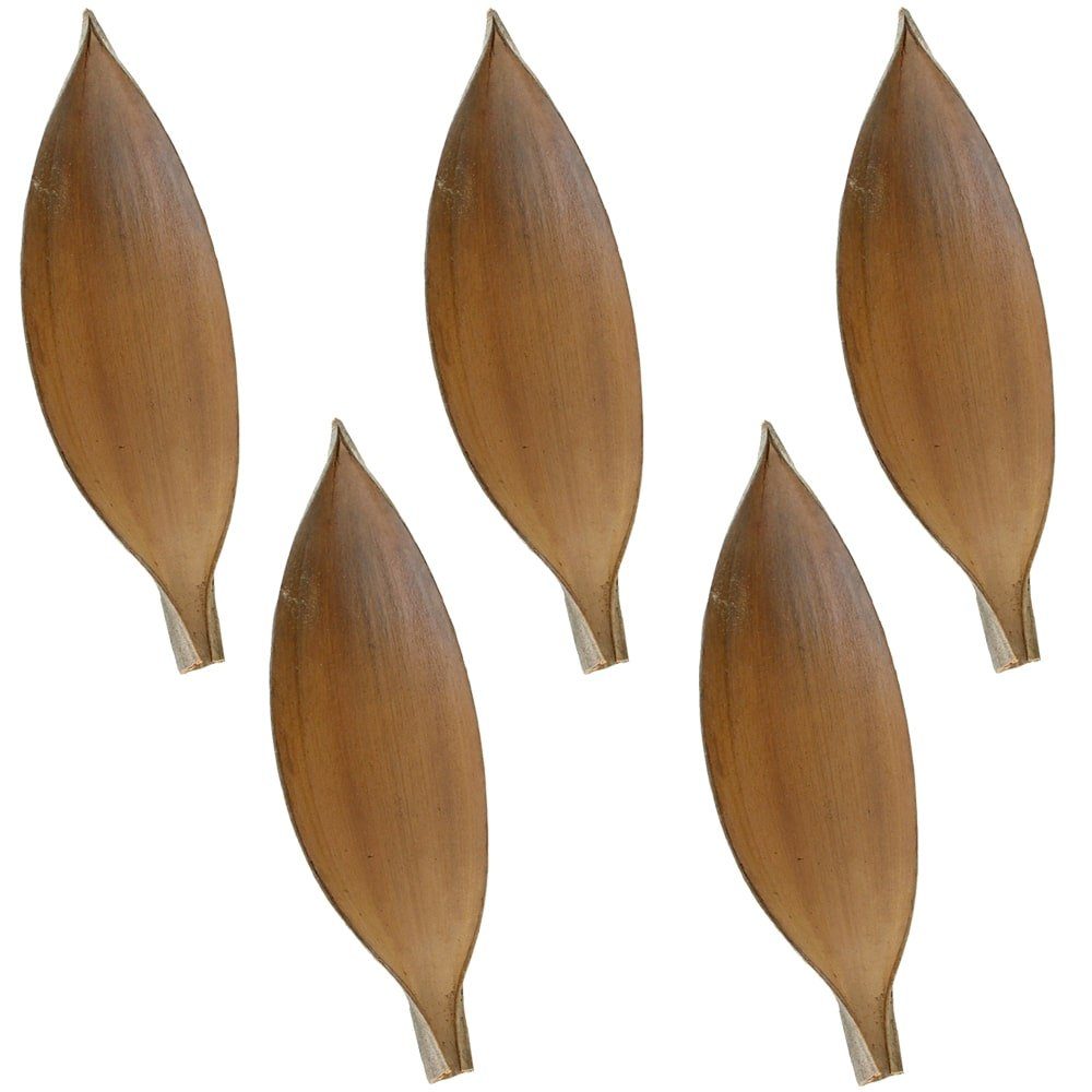 Kunstblume Kokosschalen Naturdeko Bastelmaterial natur 5er Set 30-40 cm Kok günstig online kaufen