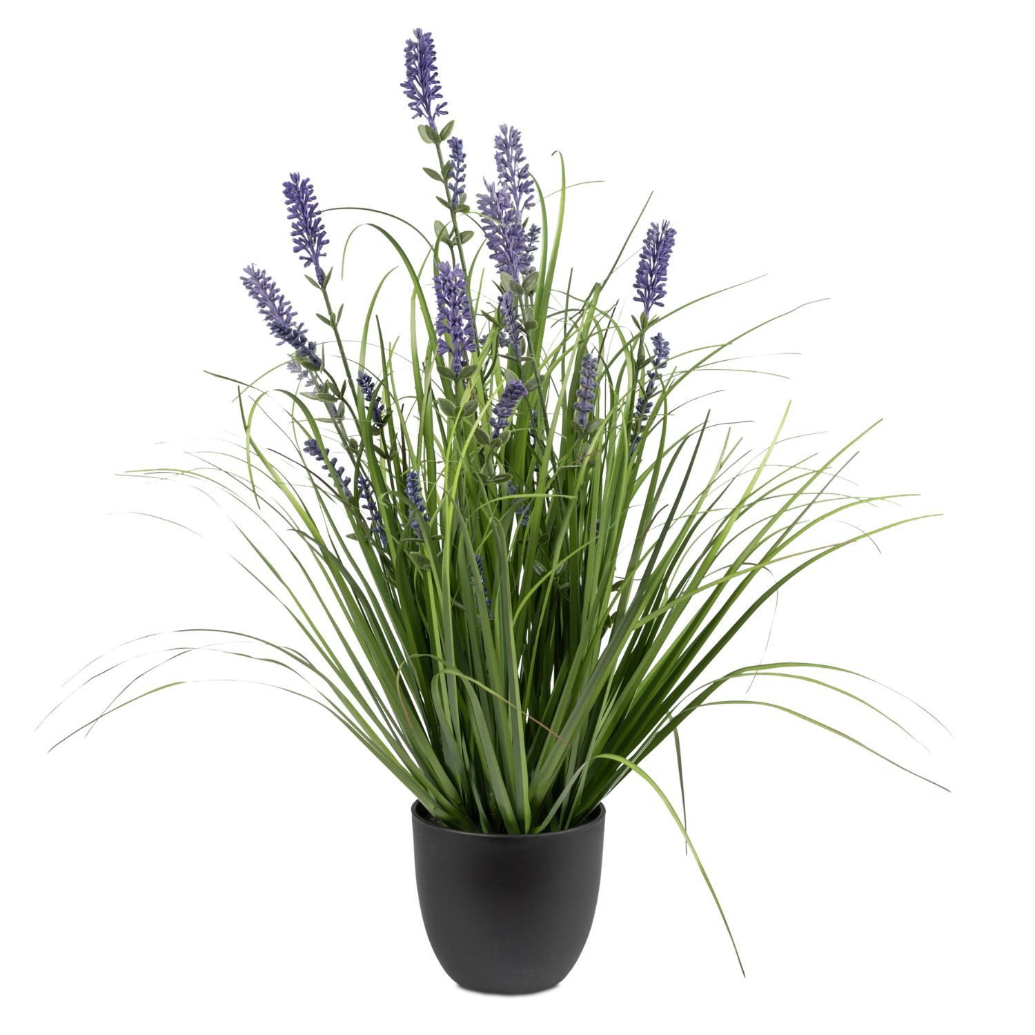 Künstliche Zimmerpflanze Lavendel, formano, Höhe 58 cm, im Topf, Lila, Lavendel, H: 58cm