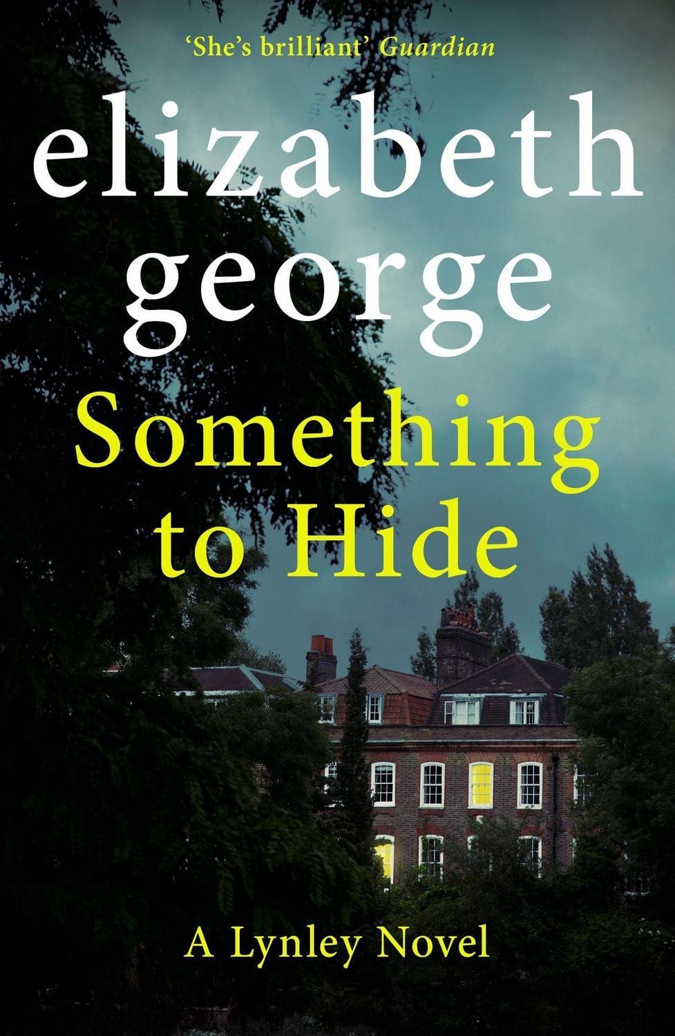 Something to Hide / Elizabeth George