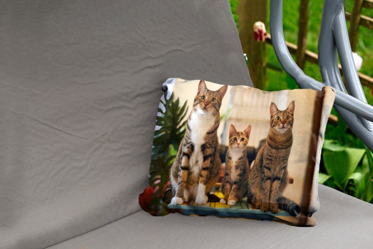 Drei kleinem Dekokissenbezug, MuchoWow Katzen auf Outdoor-Dekorationskissen, Polyester, Tisch, Kissenhülle Dekokissen