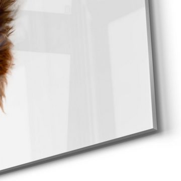 DEQORI Glasbild 'Hund reißt Augen auf', 'Hund reißt Augen auf', Glas Wandbild Bild schwebend modern