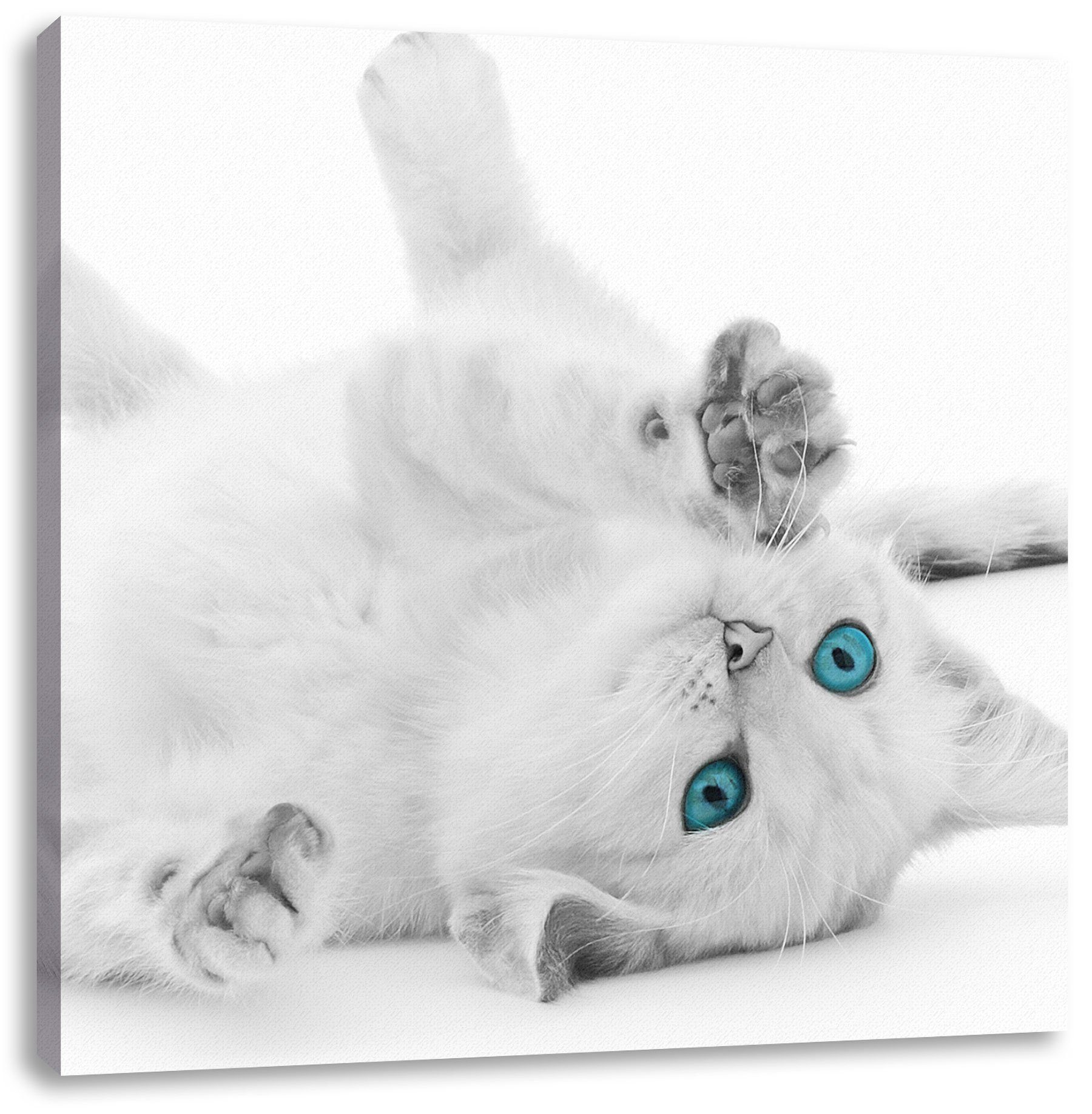 Pixxprint Leinwandbild bespannt, fertig Katze Katze Zackenaufhänger Augen, (1 Augen mit St), Leinwandbild inkl. mit