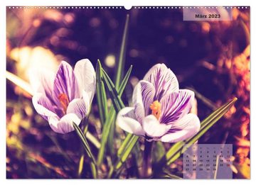 CALVENDO Wandkalender Blüten im Retro-Style (Premium, hochwertiger DIN A2 Wandkalender 2023, Kunstdruck in Hochglanz)