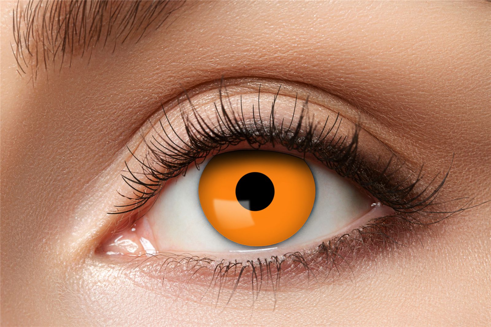 Eyecatcher Farblinsen Zoelibat Eyecatcher Wochen-Kontaktlinsen Halloween Orange Wochenlinsen, auffällige Farben für Horror, Gothic, Fantasy, Cosplay Fans