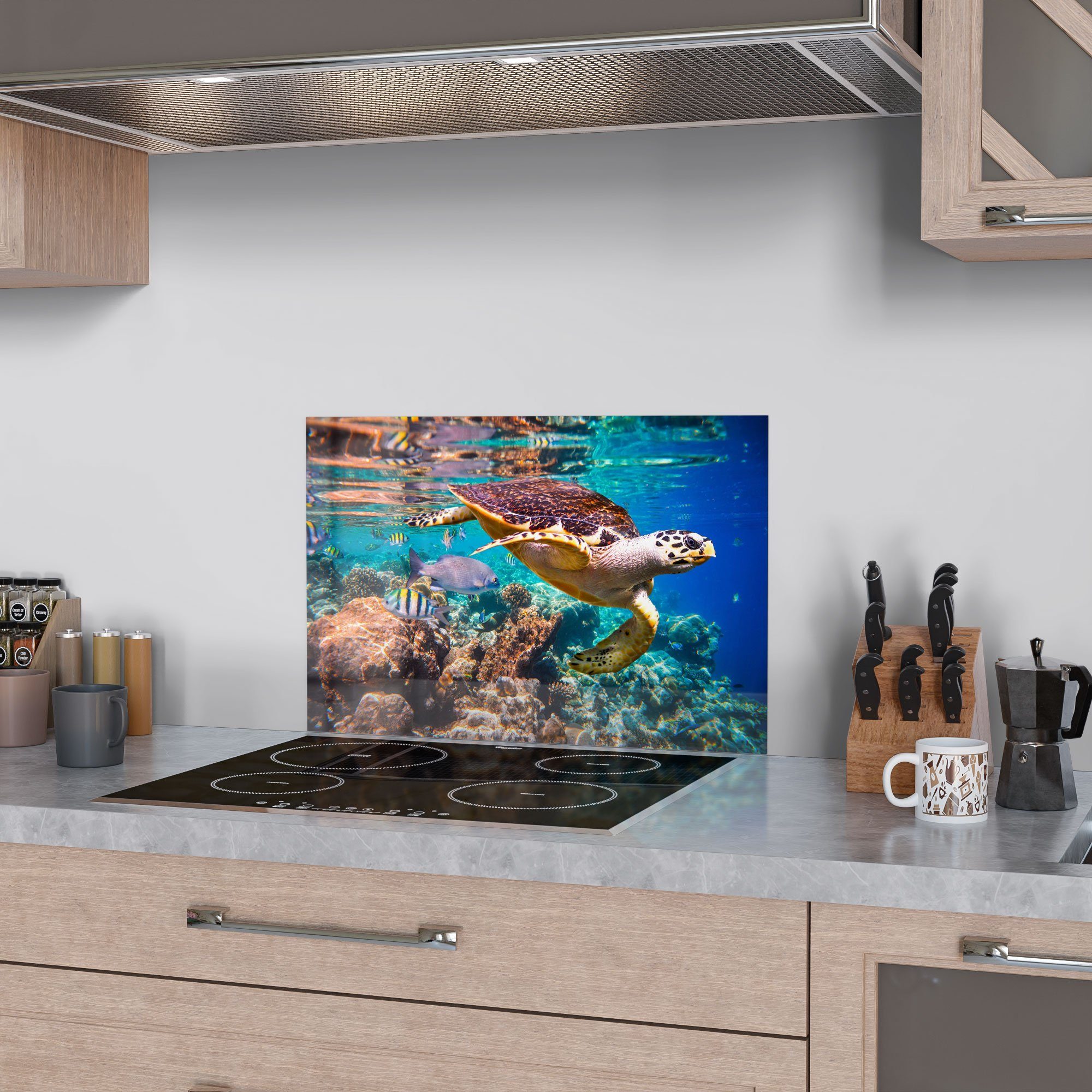 DEQORI Küchenrückwand 'Meeresschildkröte nah', Glas Herdblende Badrückwand Spritzschutz