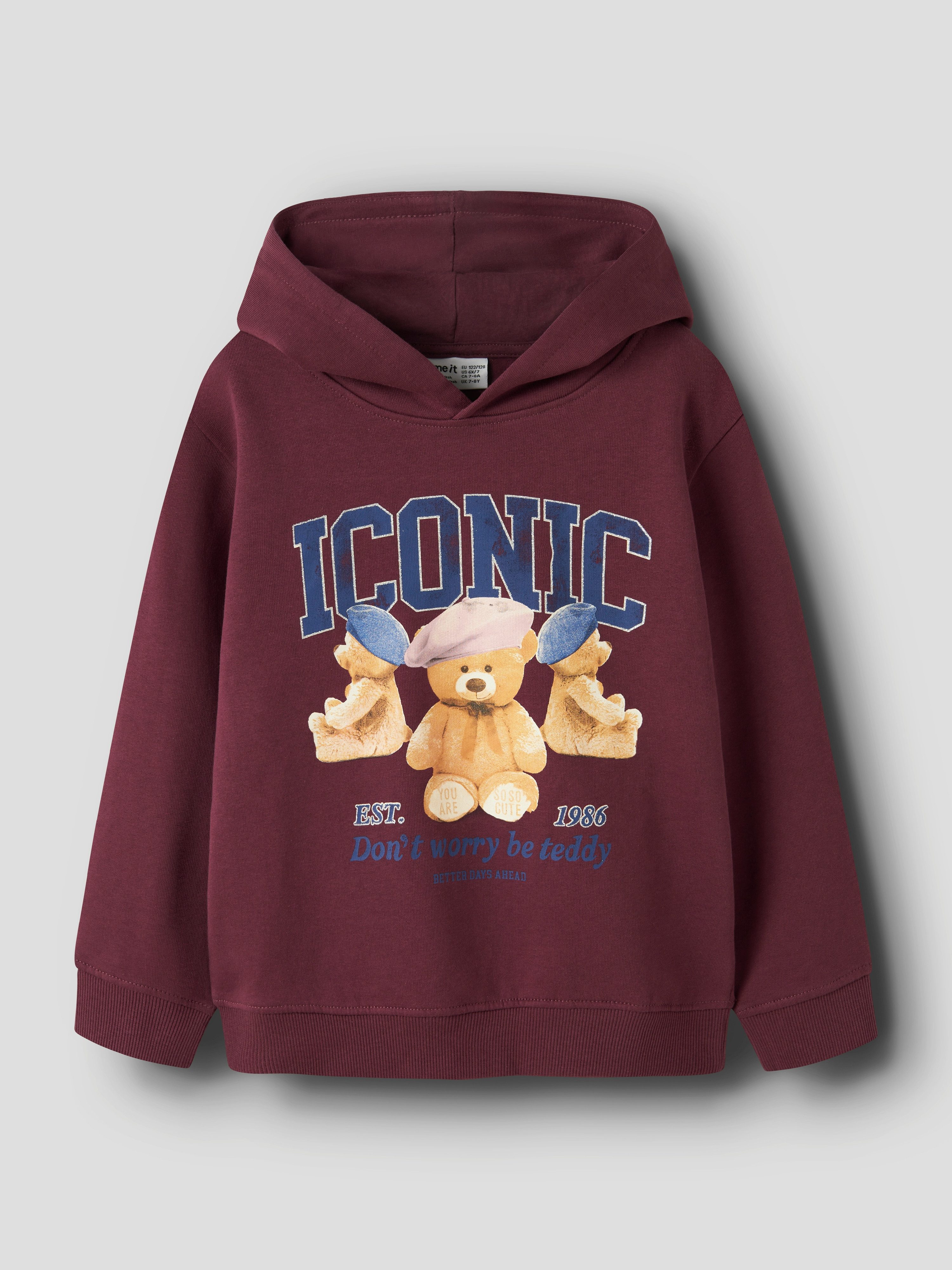 Name It Hoodie NKFRYCCA LS NREG SWEAT WH BRU BOX