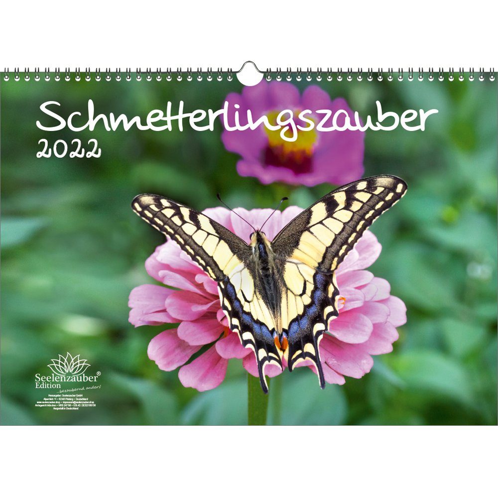 Schmetterlingszauber für Groß und Klein: Kostenlose Ausmalbilder zum Entspannen und Kreativwerden