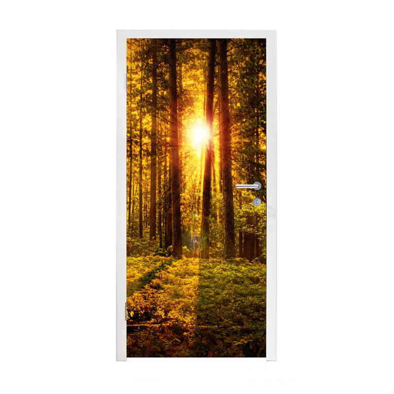 MuchoWow Türtapete Wald - Sonne - Bäume - Natur - Sonnenuntergang, Matt, bedruckt, (1 St), Fototapete für Tür, Türaufkleber, 75x205 cm