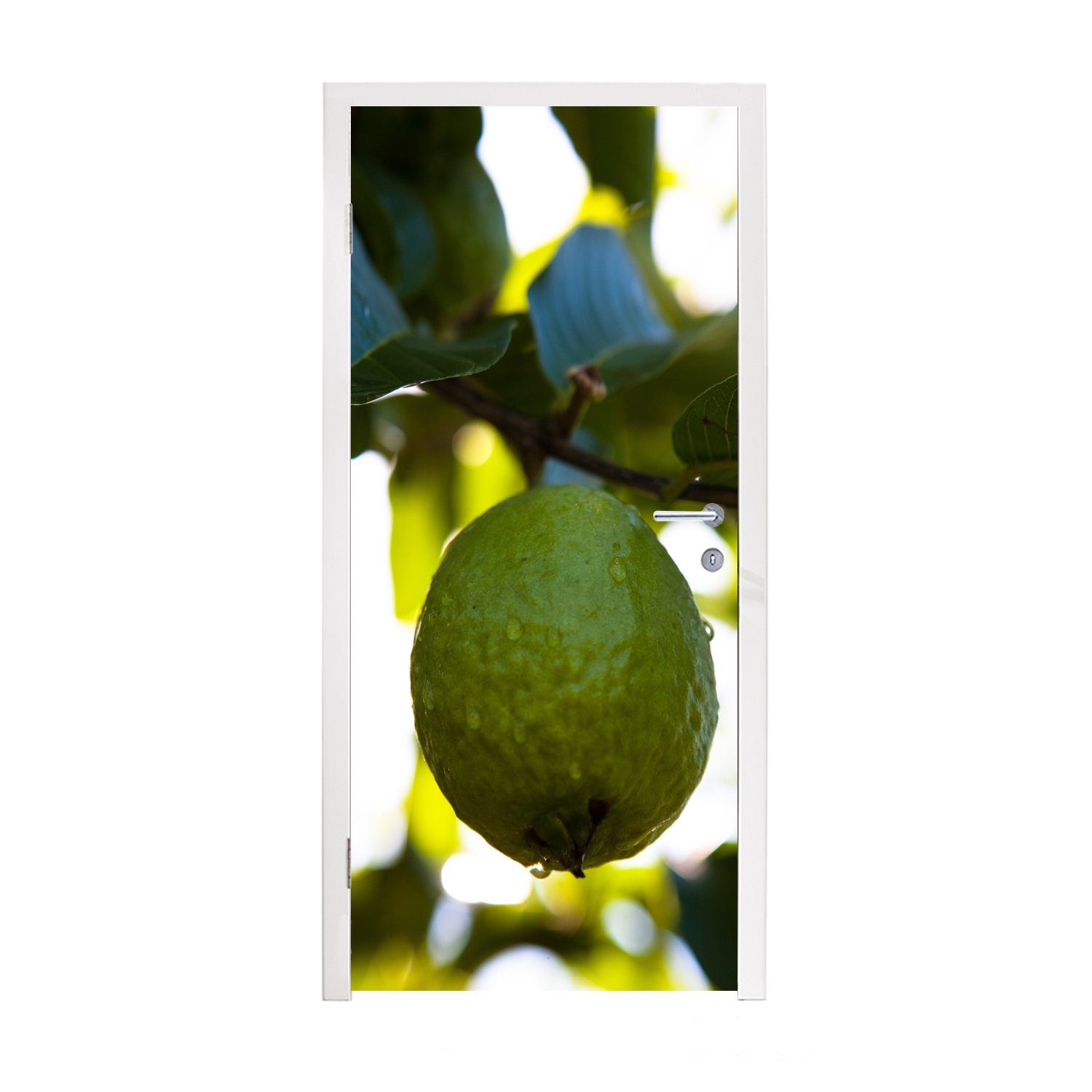 MuchoWow Türtapete Nahaufnahme einer Guavenfrucht in einem Baum mit Sonnenlicht dahinter, Matt, bedruckt, (1 St), Fototapete für Tür, Türaufkleber, 75x205 cm