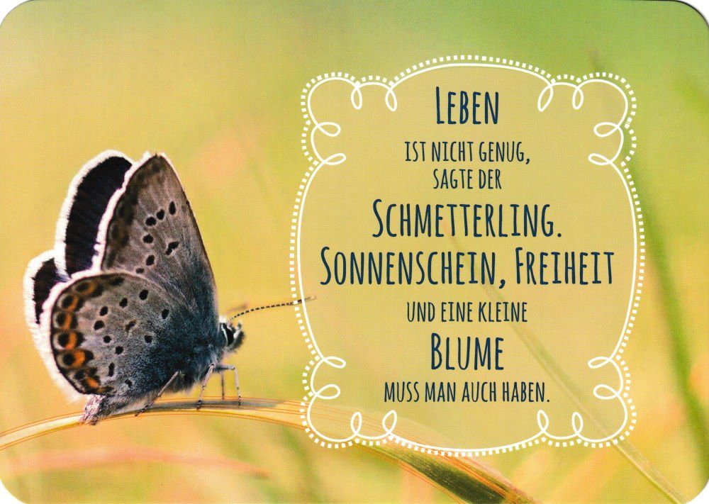Postkarte "Leben ist nicht genug, Schmetterling." sagte der