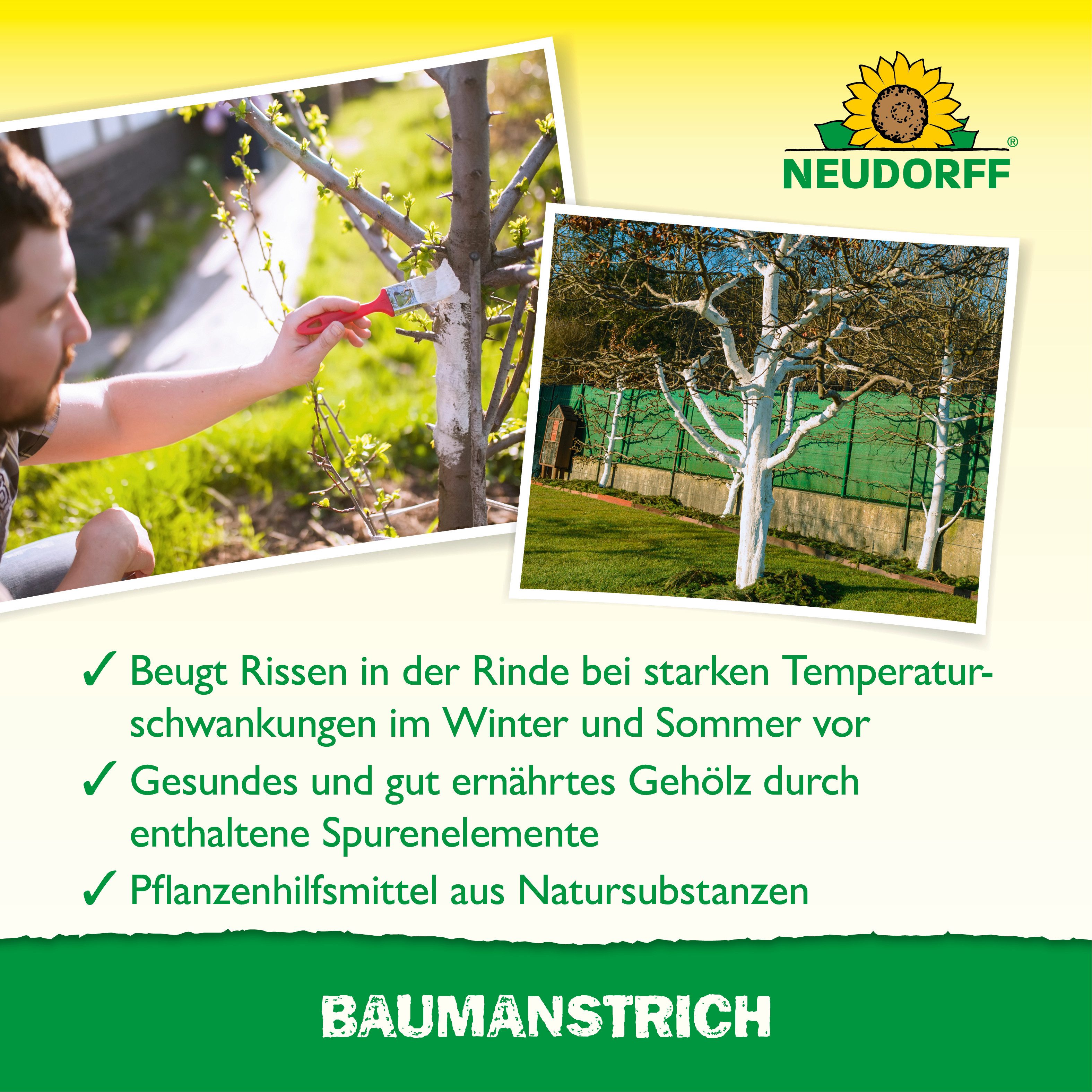 Neudorff Baumanstrich Baumanstrich in max. 24h abgebunden, 1 St., Anwendungsfertiger Weißanstrich für Obst- und Ziergehölze, 1 Baumanstrich mit 2 Liter Inhalt, Anwendungsfertiger Weißanstrich zur Pflege von Baumstämmen