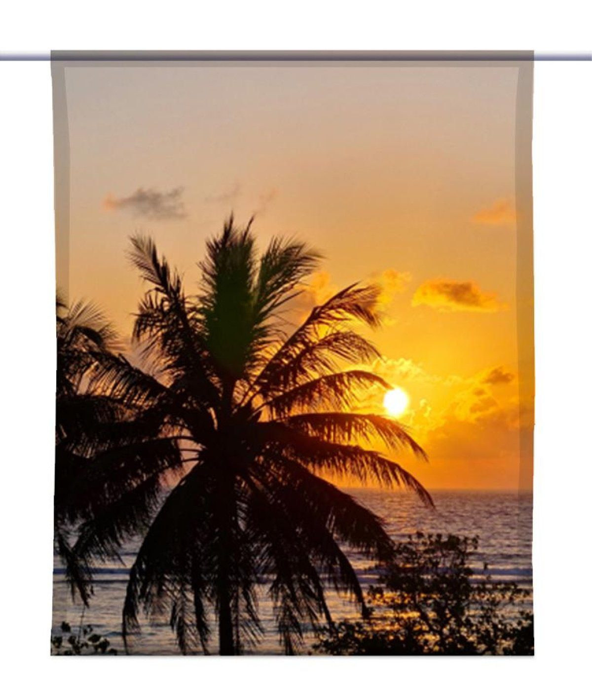 Palm Motiv – Malediven eckig Beach gardinen-for-life - Scheibengardine B-line, Scheibenhänger –