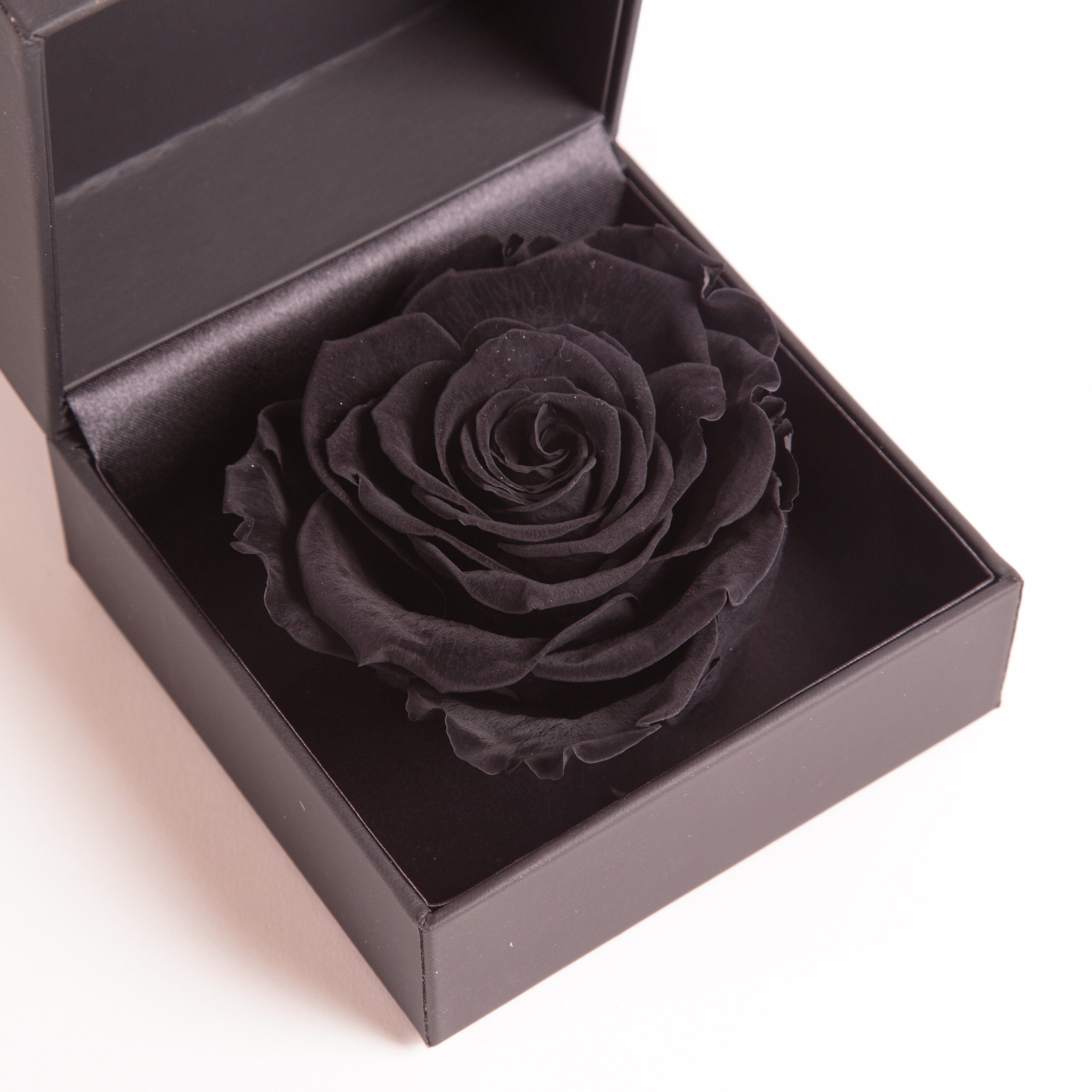 Kunstblume Rosenbox Ringbox Groß Infinity ROSEMARIE Box cm, SCHULZ Schwarz konserviert Langlebige Ringdose Höhe Rose Heidelberg, 9 Rose, in Rose