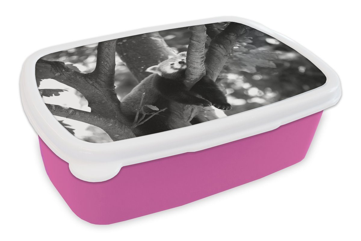 MuchoWow Lunchbox Roter Panda in Erwachsene, (2-tlg), Kinder, einem für und rosa Kunststoff, Mädchen, Kunststoff Brotbox Brotdose weiß, schwarz - Snackbox, Baum